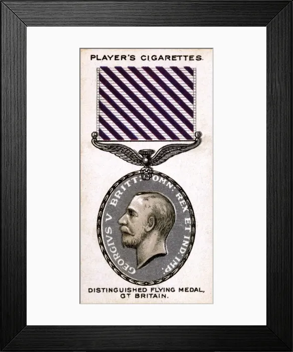 Framed Print : Distinguished Flying Framed Print : Distinguished Flying
