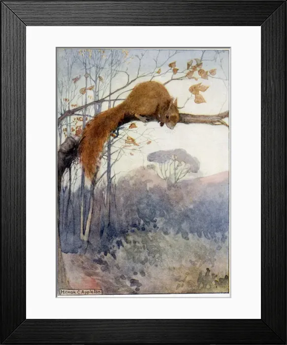 Framed Print : Squirrel in Tree C1917 Framed Print : Squirrel in Tree C1917