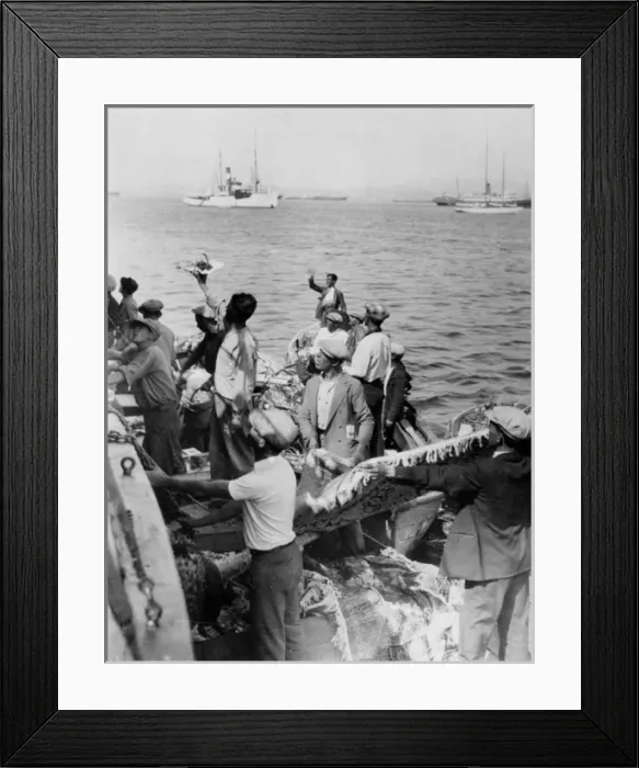 Framed Print : Gibraltar Trade Framed Print : Gibraltar Trade
