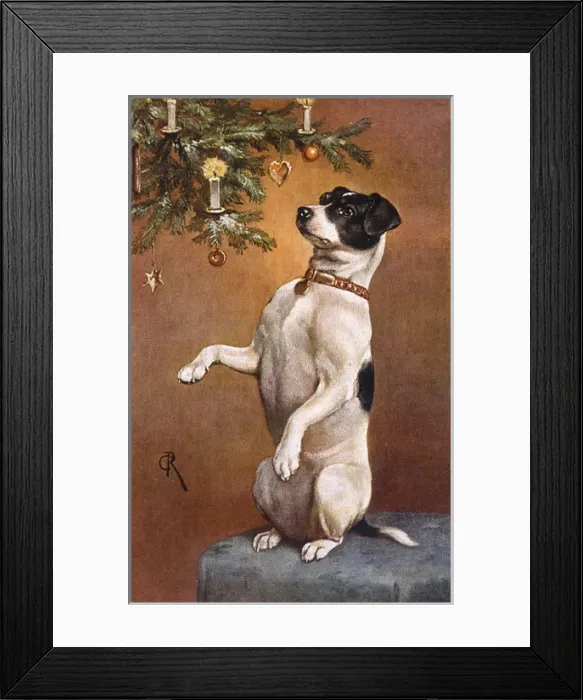 Framed Print : Dog Begs at Xmas Tree Framed Print : Dog Begs at Xmas Tree