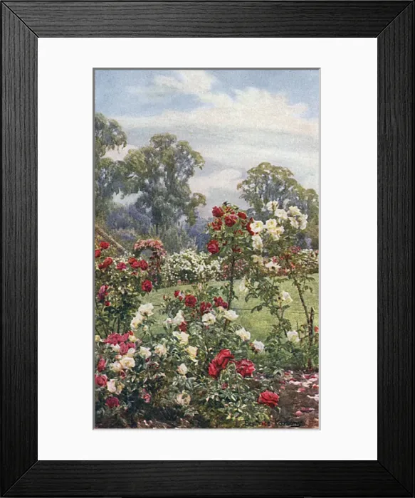 Framed Print : Garden / Newtown House Framed Print : Garden / Newtown House