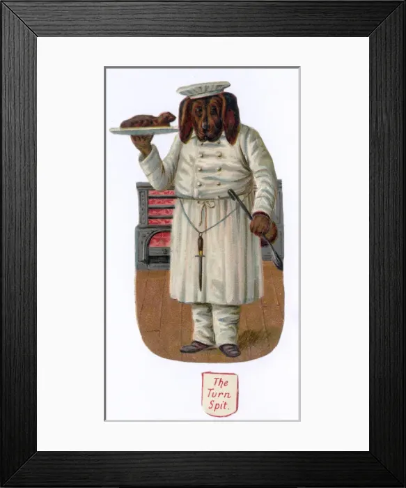 Framed Print : Turnspit Dog Framed Print : Turnspit Dog