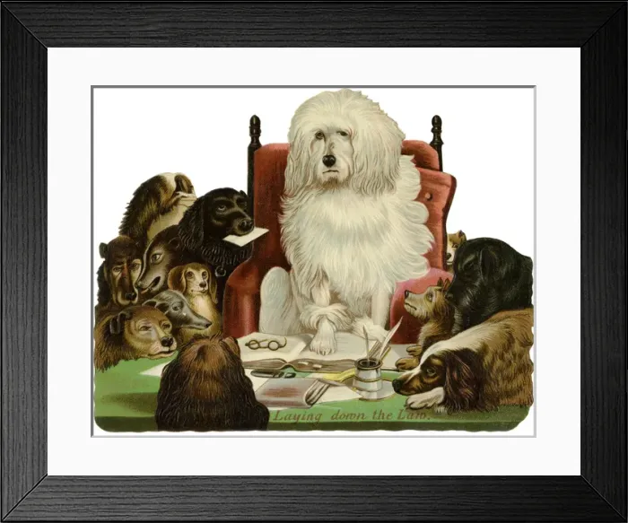 Framed Print : Dogs Lay down the Law Framed Print : Dogs Lay down the Law