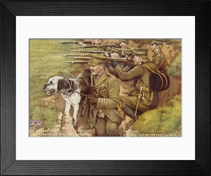 Framed Print : Dog Guards Trenches Framed Print : Dog Guards Trenches