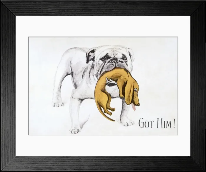 Framed Print : Bulldog Gets Dachshund Framed Print : Bulldog Gets Dachshund