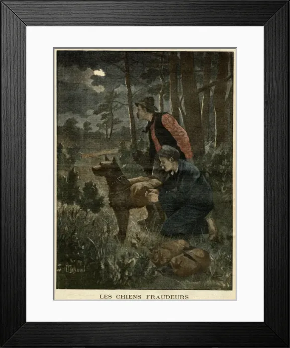 Framed Print : Dogs Help Smugglers Framed Print : Dogs Help Smugglers