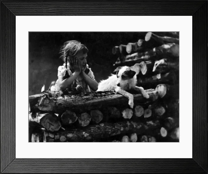 Framed Print : Jack Russell / Girl 1930S Framed Print : Jack Russell / Girl 1930S