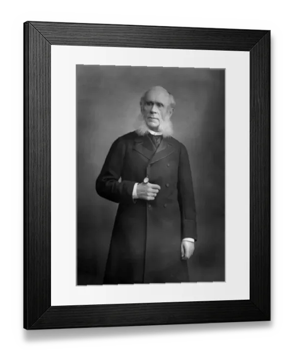 Framed Print : Baron de Stael 1895 Framed Print : Baron de Stael 1895