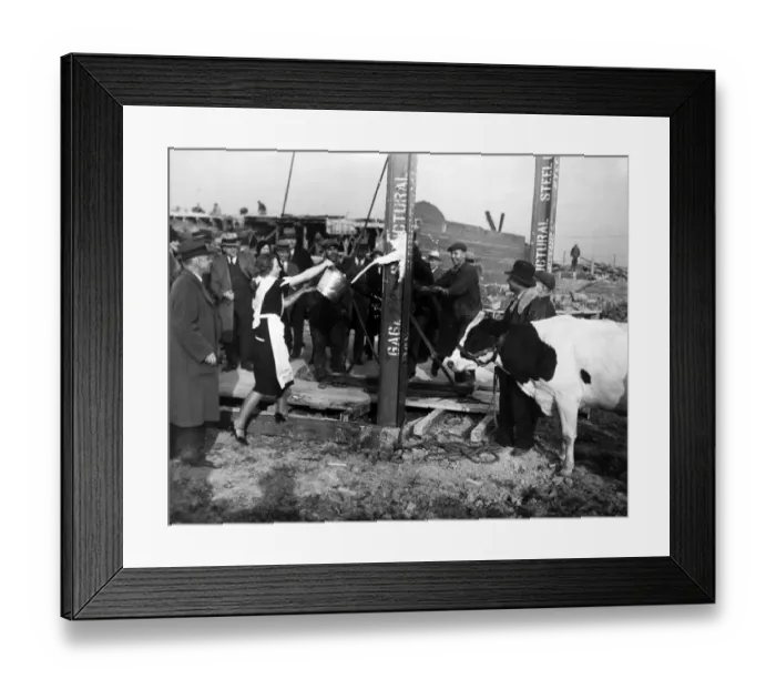 Framed Print : SPILT MILK Framed Print : SPILT MILK
