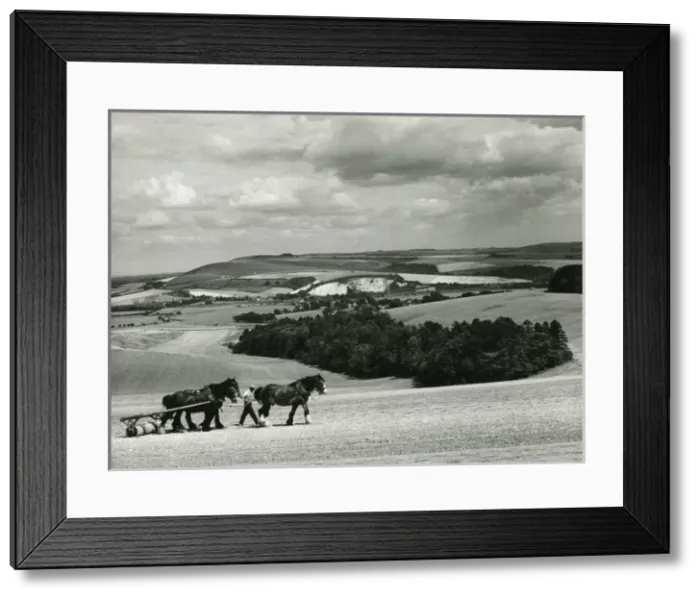 Framed Print : The Sussex Downs Framed Print : The Sussex Downs