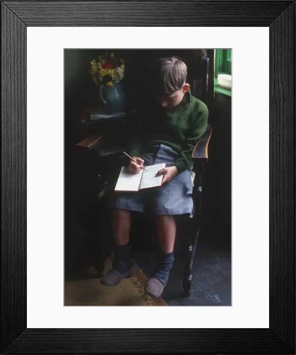 Framed Print : Boy Keeping a Diary Framed Print : Boy Keeping a Diary