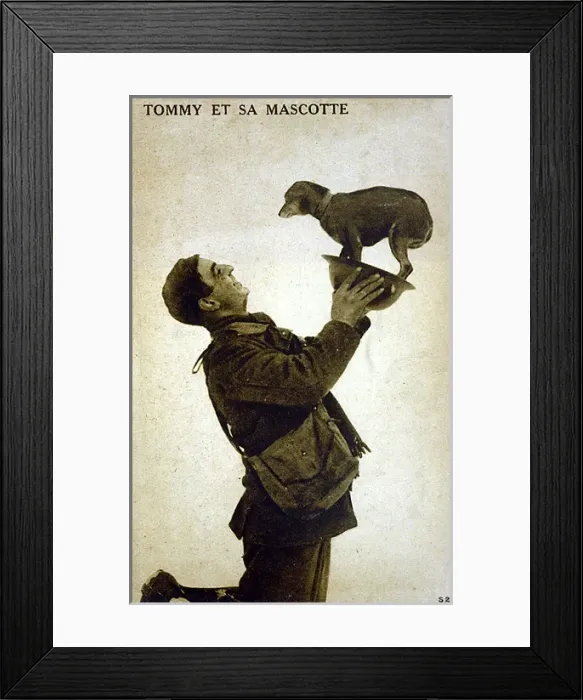 Framed Print : Soldier and Dog Friend Framed Print : Soldier and Dog Friend