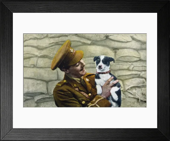 Framed Print : Liberated Dog 1918 Framed Print : Liberated Dog 1918