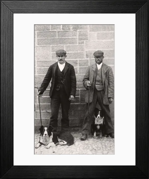 Framed Print : Collies and their Owners Framed Print : Collies and their Owners