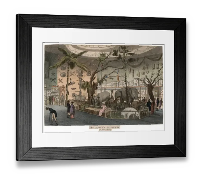 Framed Print : Bullocks Museum Framed Print : Bullocks Museum