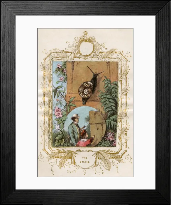 Framed Print : Father and son studying a snail Framed Print : Father and son studying a snail
