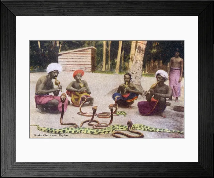 Framed Print : Snake Charmers / Ceylon Framed Print : Snake Charmers / Ceylon