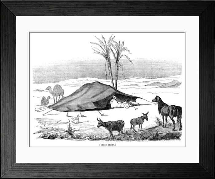 Framed Print : North Africa Arab Tent Framed Print : North Africa Arab Tent