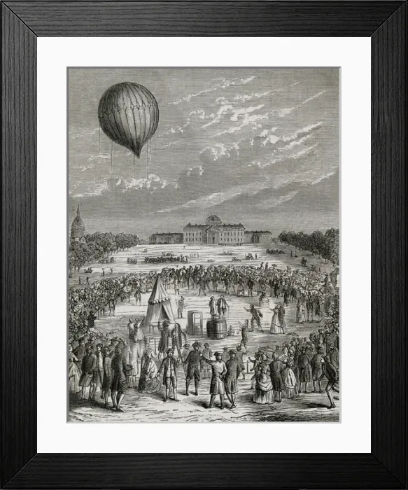 Framed Print : Charles Balloon Leaves Framed Print : Charles Balloon Leaves