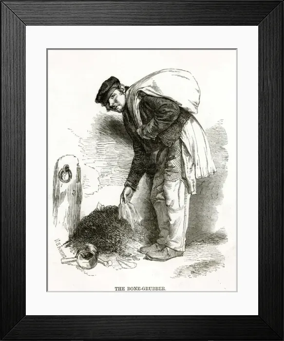 Framed Print : The Bone-Grubber Framed Print : The Bone-Grubber