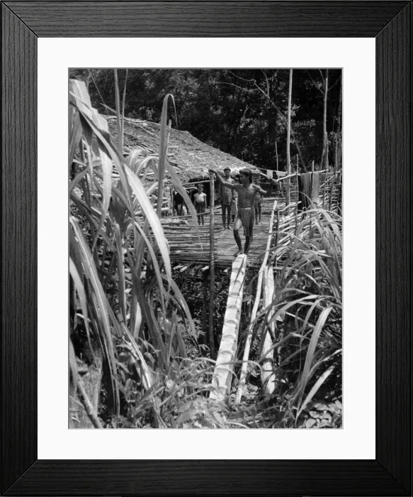 Framed Print : Dyak Longhouse Framed Print : Dyak Longhouse