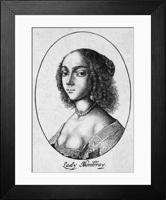 Framed Print : Eliz, Arundel & Surrey Framed Print : Eliz, Arundel & Surrey