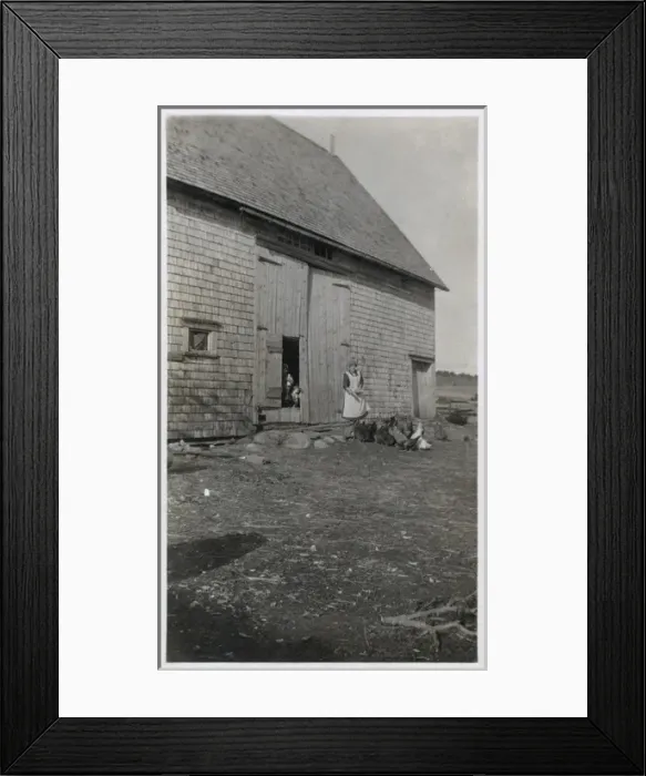 Framed Print : Feeding the Chickens Framed Print : Feeding the Chickens