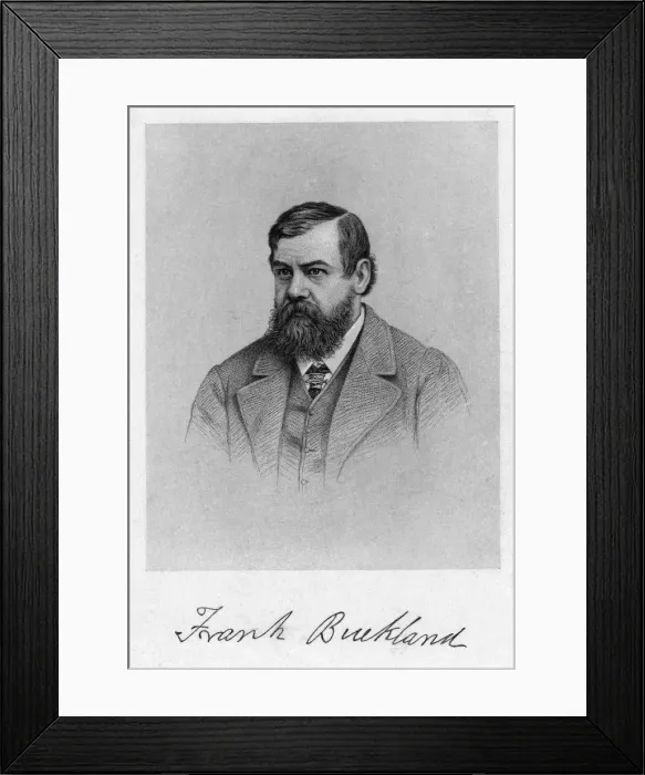 Framed Print : Frank Buckland - 3 Framed Print : Frank Buckland - 3