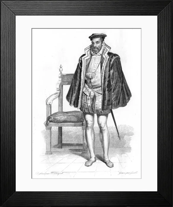 Framed Print : Gaspard Coligny - 2 Framed Print : Gaspard Coligny - 2