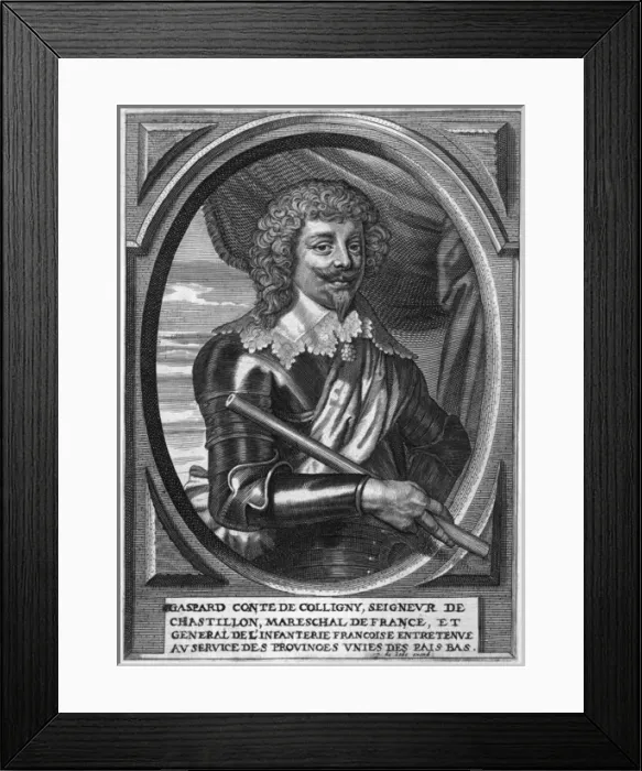 Framed Print : Gaspard De Coligny Framed Print : Gaspard De Coligny