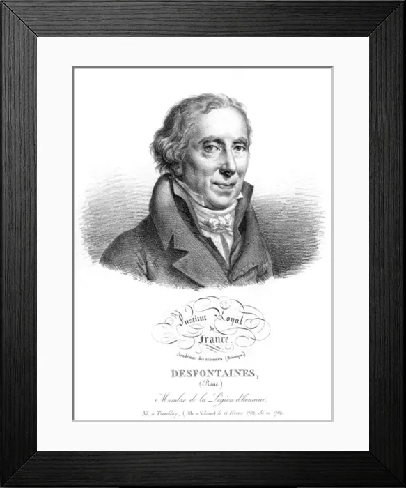 Framed Print : Edme Comte Desfourneaux Framed Print : Edme Comte Desfourneaux