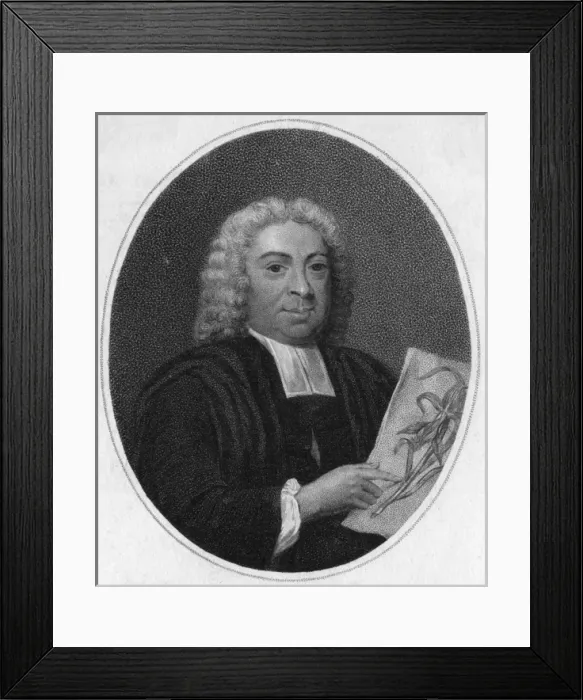 Framed Print : John James Dillenius Framed Print : John James Dillenius