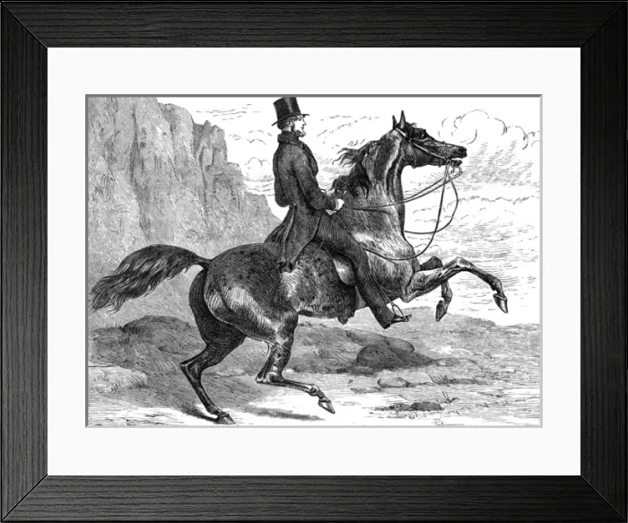 Framed Print : Count D orsay Riding Framed Print : Count D orsay Riding