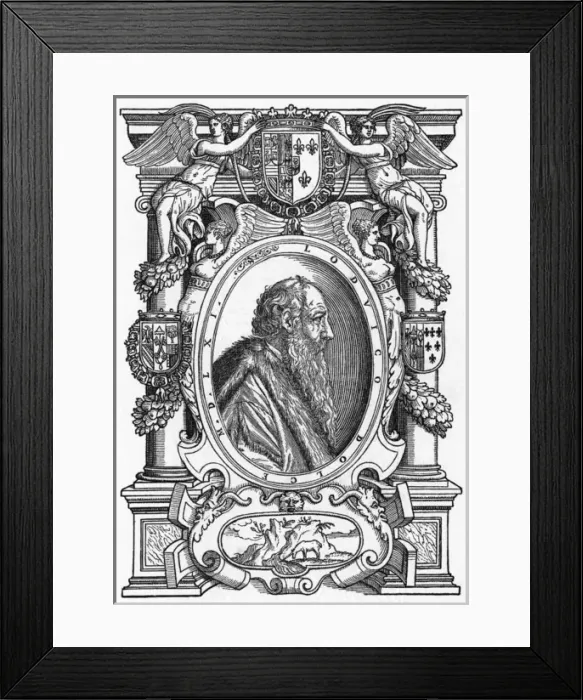 Framed Print : Lodovico Dolce Framed Print : Lodovico Dolce