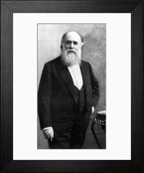 Framed Print : John Alexander Dowie Framed Print : John Alexander Dowie