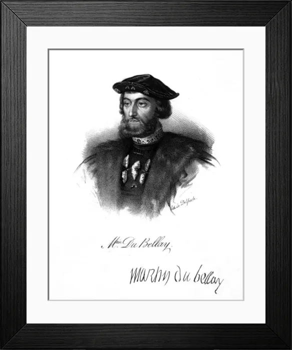 Framed Print : Martin Du Bellay Framed Print : Martin Du Bellay