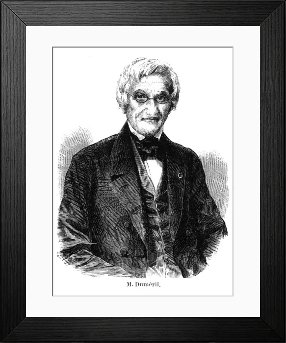 Framed Print : Andre Dumeril - 2 Framed Print : Andre Dumeril - 2