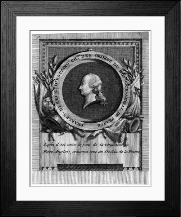 Framed Print : COMTE D ESTAING - 3 Framed Print : COMTE D ESTAING - 3