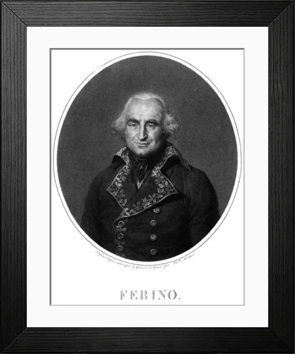 Framed Print : Comte Pierre Ferino Framed Print : Comte Pierre Ferino