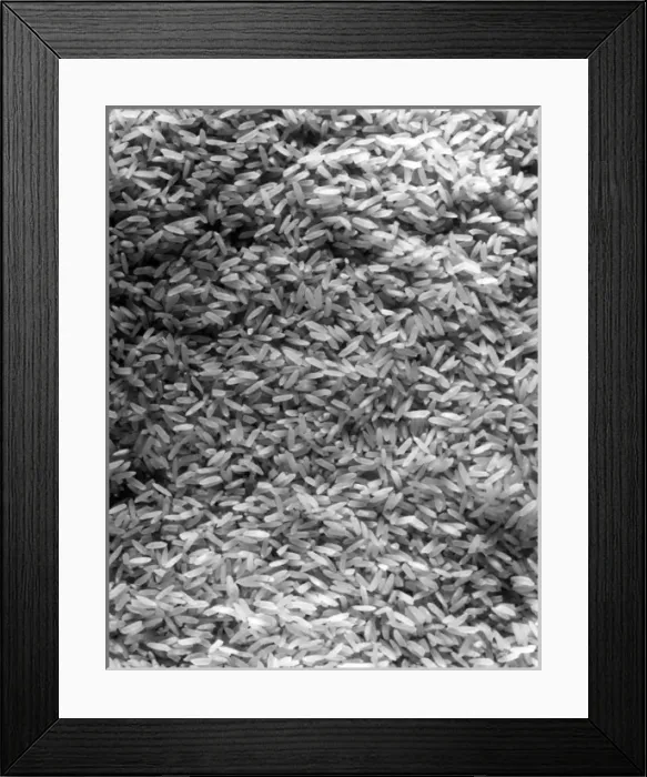 Framed Print : Close-Up of Rice Framed Print : Close-Up of Rice