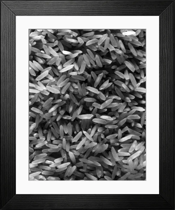 Framed Print : Close-Up of Rice Framed Print : Close-Up of Rice