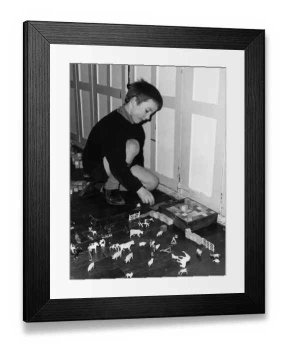 Framed Print : Toy Farmyard Animals Framed Print : Toy Farmyard Animals