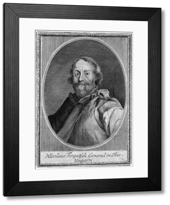 Framed Print : Nicolaus Forgatsch Framed Print : Nicolaus Forgatsch