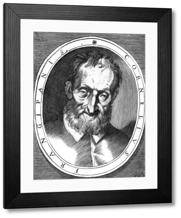 Framed Print : Cornelius Frangipani Framed Print : Cornelius Frangipani