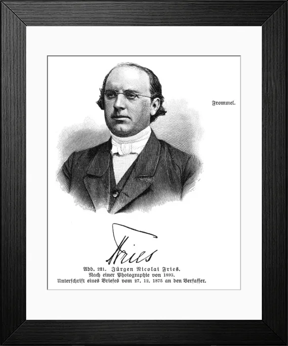 Framed Print : Jurgen Nicolai Fries Framed Print : Jurgen Nicolai Fries
