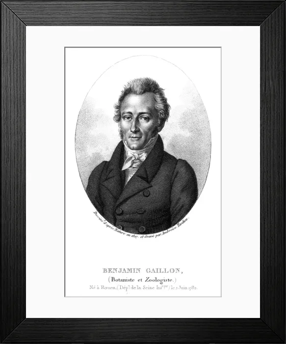 Framed Print : Benjamin Gaillon Framed Print : Benjamin Gaillon