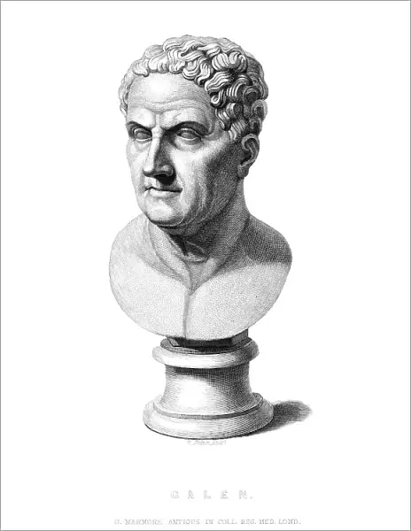 Claudius Galen (Bust)