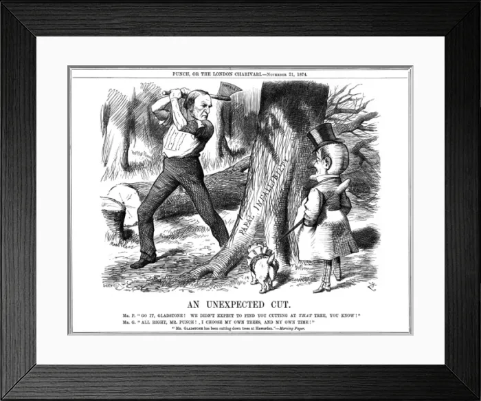 Framed Print : Gladstone and the Papacy Framed Print : Gladstone and the Papacy