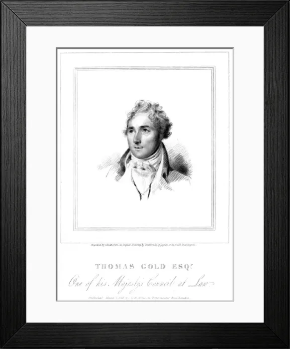 Framed Print : Thomas Gold Framed Print : Thomas Gold