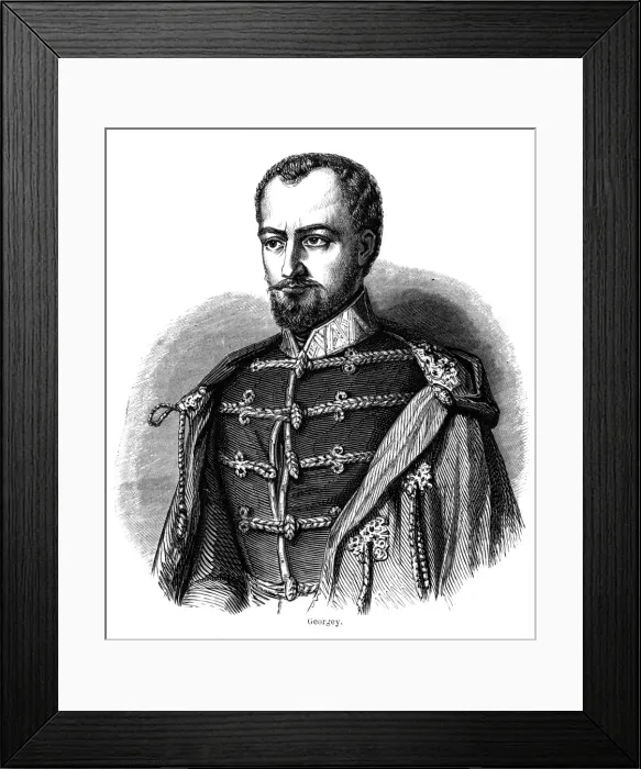Framed Print : Artur Gorgey - 2 Framed Print : Artur Gorgey - 2